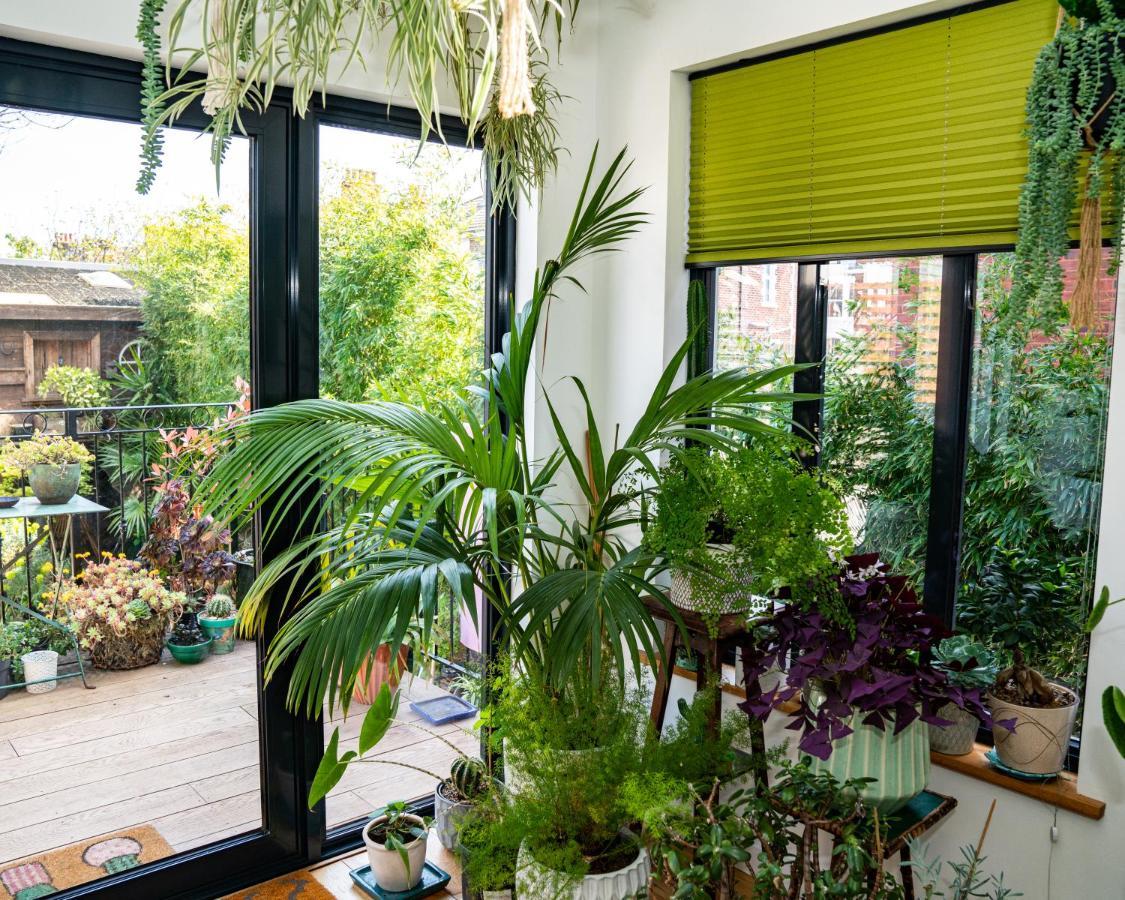 The Green House بورتسماوث المظهر الخارجي الصورة