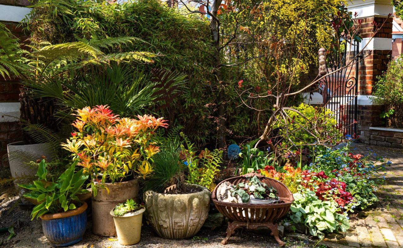 The Green House بورتسماوث المظهر الخارجي الصورة