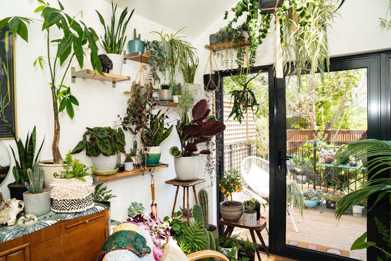 The Green House بورتسماوث المظهر الخارجي الصورة