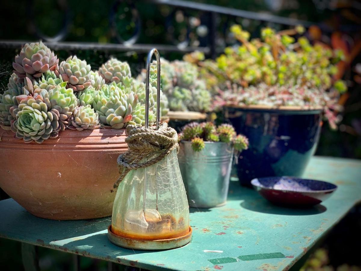 The Green House بورتسماوث المظهر الخارجي الصورة