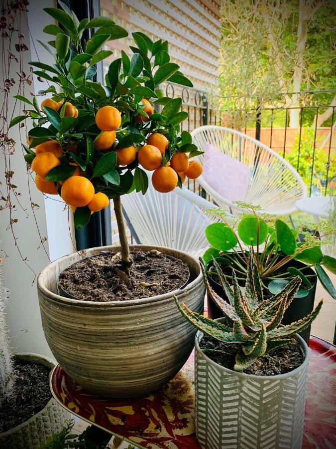 The Green House بورتسماوث المظهر الخارجي الصورة