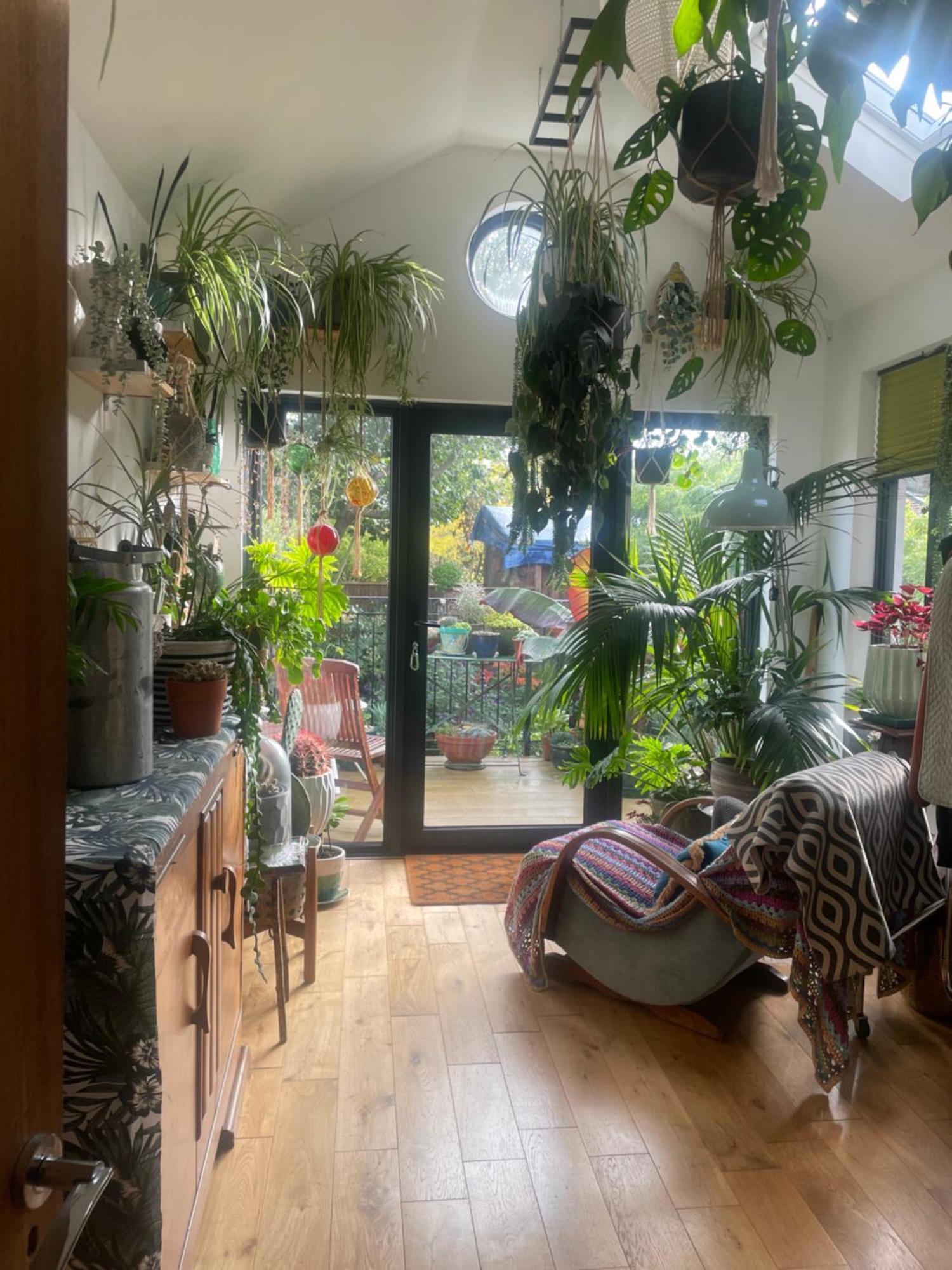 The Green House بورتسماوث المظهر الخارجي الصورة