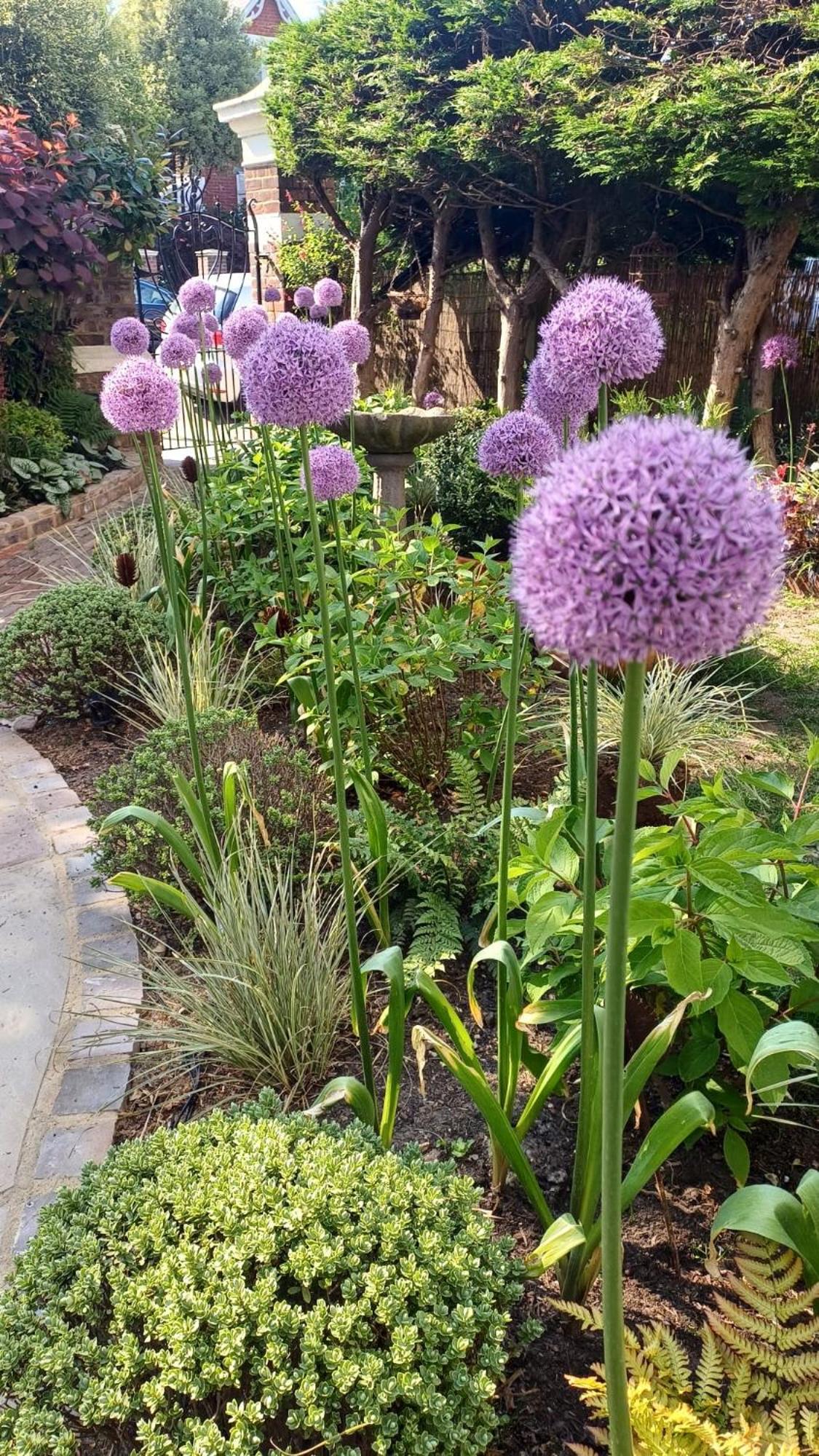 The Green House بورتسماوث المظهر الخارجي الصورة